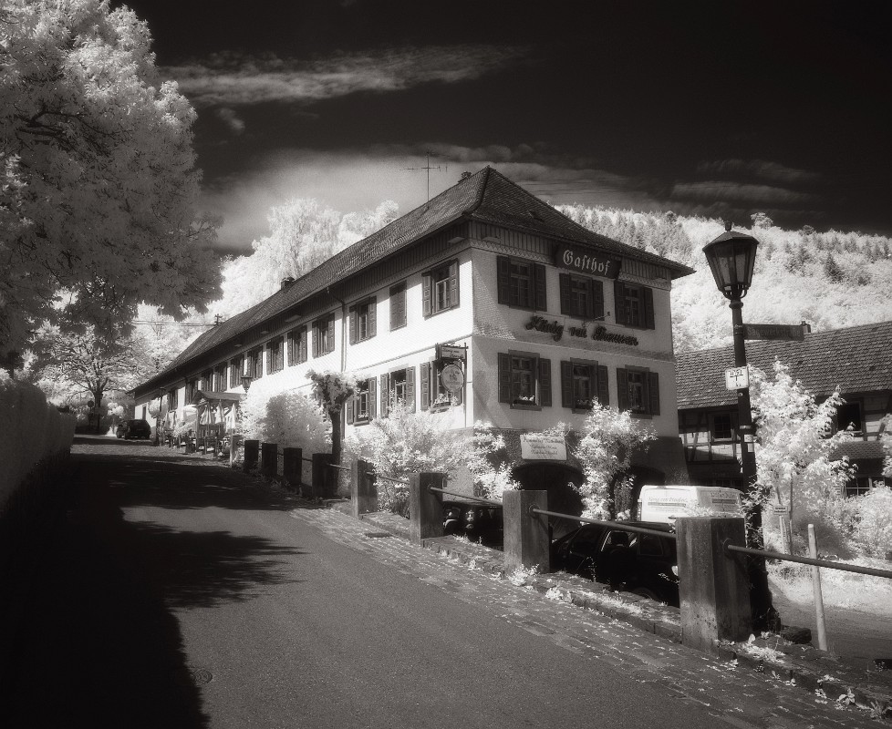 img_Efke820IR-XTOL1p1_341 edit duplex crop.jpg - Der König von Preussen in Frauenalb.